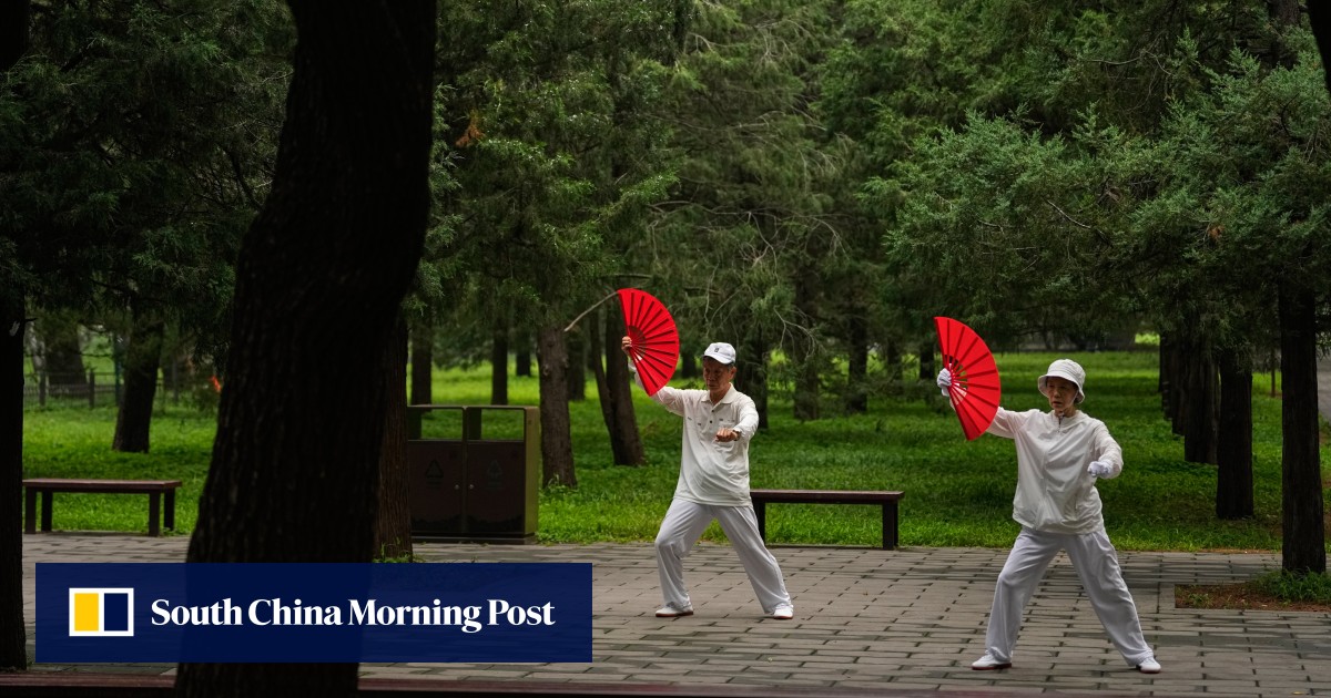 China’s population ageing seen as ‘inevitable’ before 2050. Why push more births?