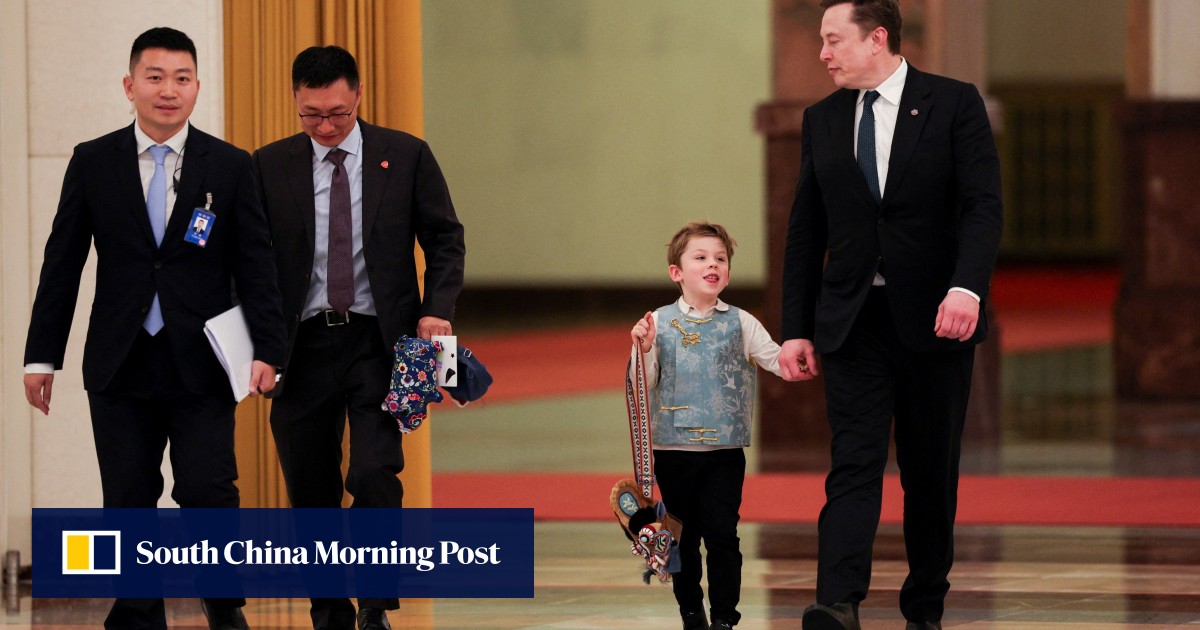 Musk son’s viral tiger-head bag shines light on China’s US$14.8b heritage e-commerce