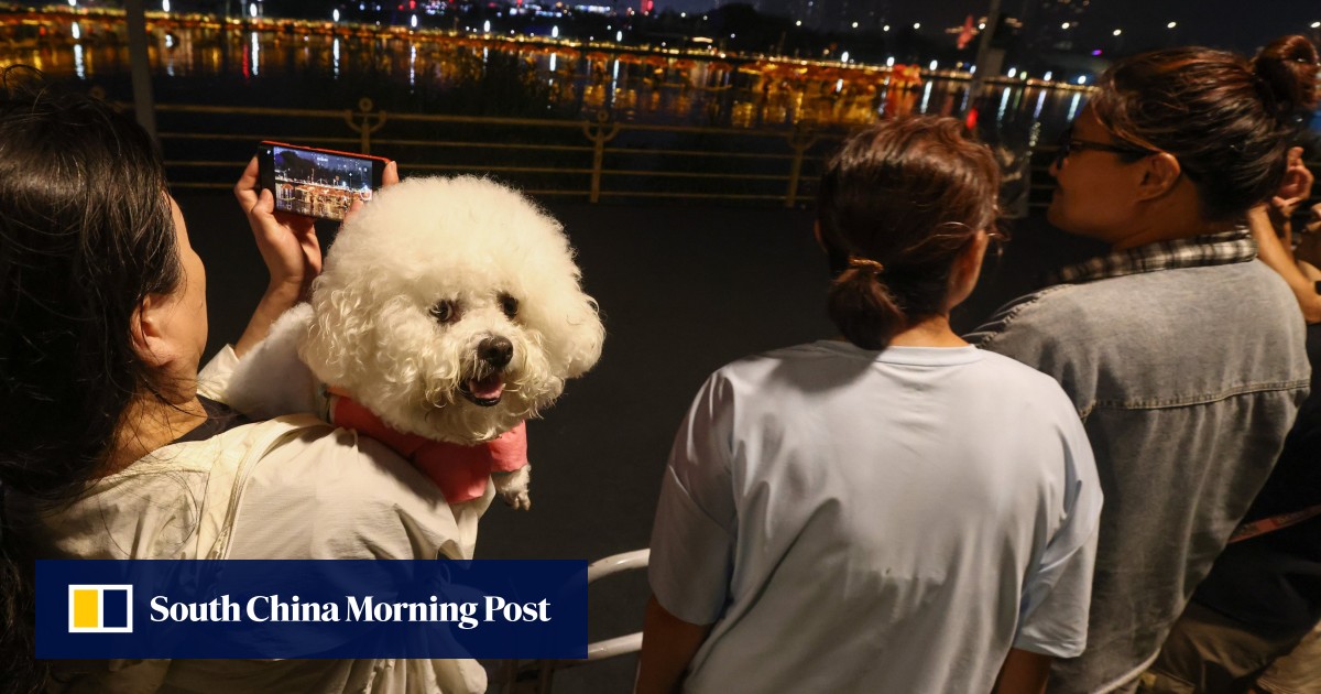 https://cdn.i-scmp.com/sites/default/files/styles/og_image_scmp_generic/public/d8/images/canvas/2026/07/20/a3fb9901-616c-4afd-9de9-f7603cf8d14f_f0cafadd.jpg?itok=aGacNtrB&v=1784528209