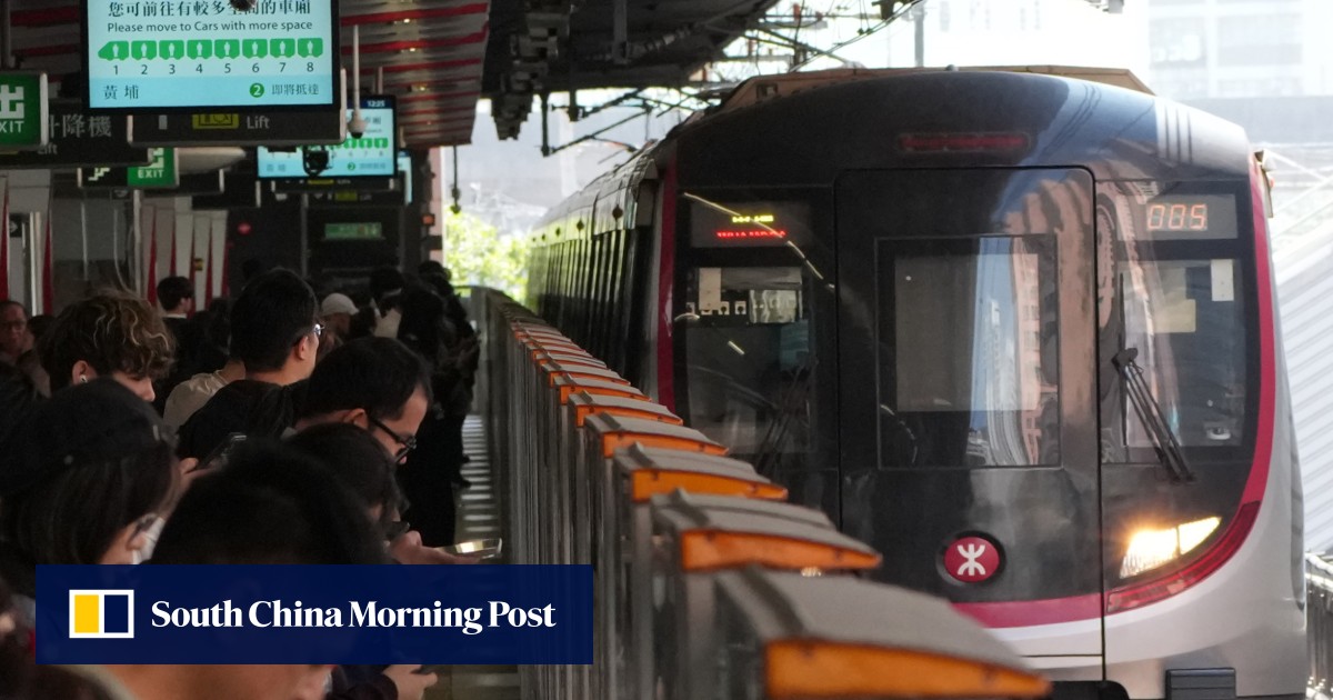 Nhà điều hành đường sắt MTR Corporation cho biết một con vật đã xuất hiện trên đường ray gần ga Kowloon Bay, khiến các chuyến tàu tuyến Kwun Tong chạy chậm lại (Ảnh: Jelly Tse)
