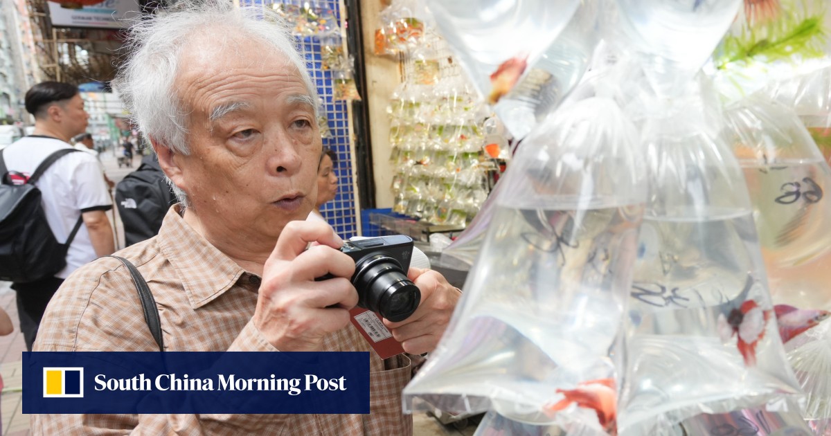 https://cdn.i-scmp.com/sites/default/files/styles/og_image_scmp_generic/public/d8/images/canvas/2026/07/24/718a5c68-a3f5-49dc-b9ca-bcb6a3e45224_e6b5d7e6.jpg?itok=yLhEVQu4&v=1784863878