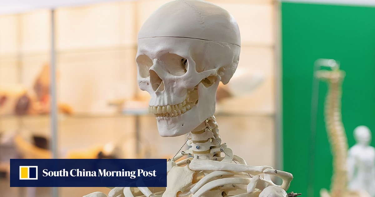 The key to better brain health and ‘super-ageing’ could lie in your bones