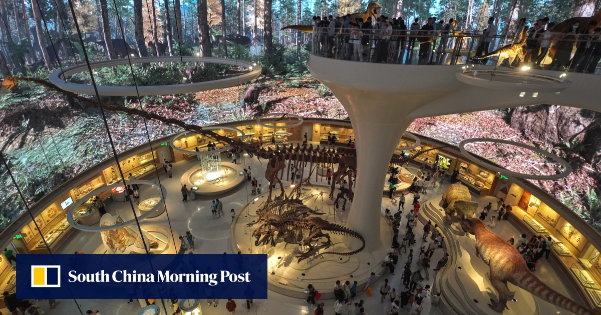 https://cdn.i-scmp.com/sites/default/files/styles/og_image_scmp_generic/public/d8/images/canvas/2026/07/29/41aef596-92b2-437b-8201-5d9f62909636_42636808.jpg?itok=n5i9cD1V&v=1785304615