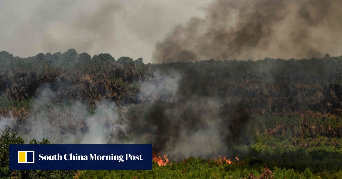 France, Spain make headway against wildfires but new heatwave looms