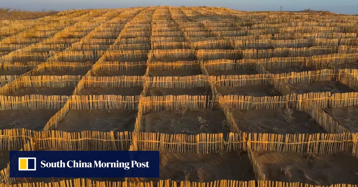Chinese data challenges US-Iran war claims; bamboo vs desertification: SCMP’s 7 highlights