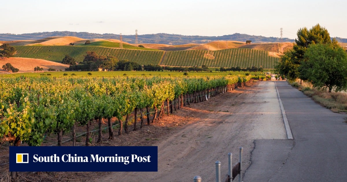 Grape expectations: California winemakers optimistic for China export resurgence