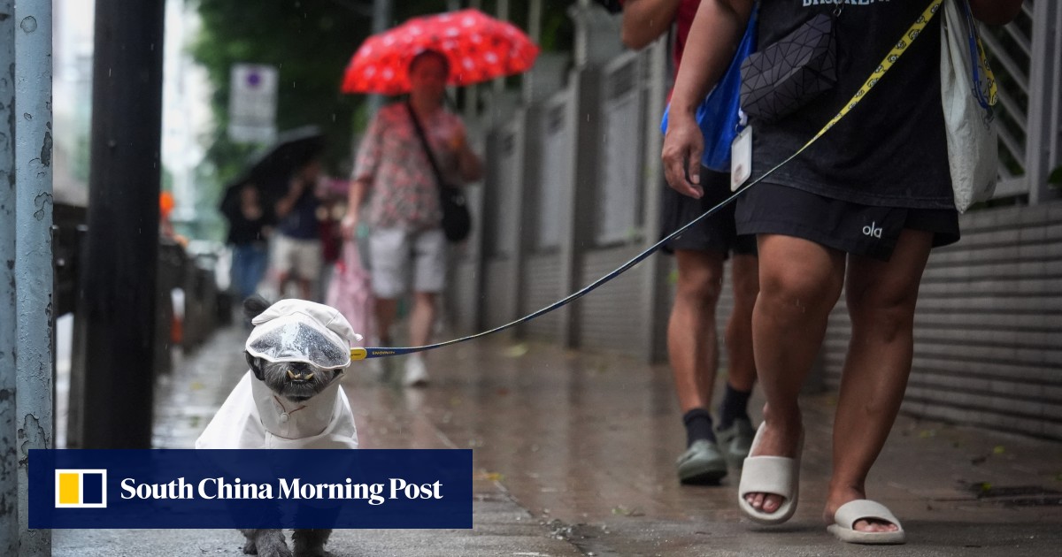 Hong Kong set for heavy showers, squally thunderstorms over next few days