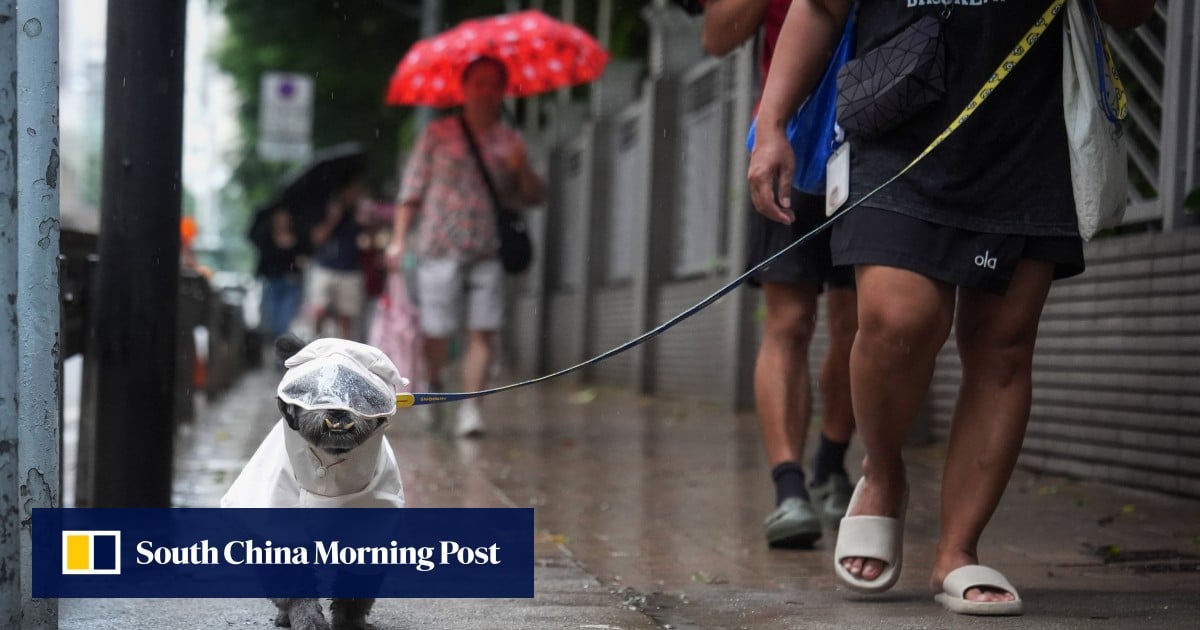 Hong Kong set for heavy showers, squally thunderstorms over next few days