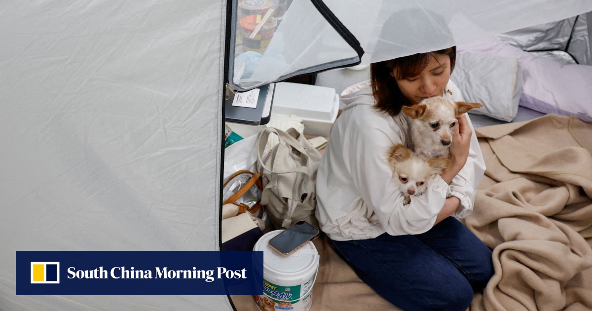 Japan quake evacuees with pets find refuge at Kumamoto animal hospital