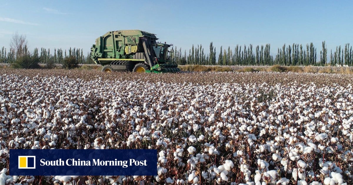 US adds 43 Chinese companies to Uygur forced labour blacklist