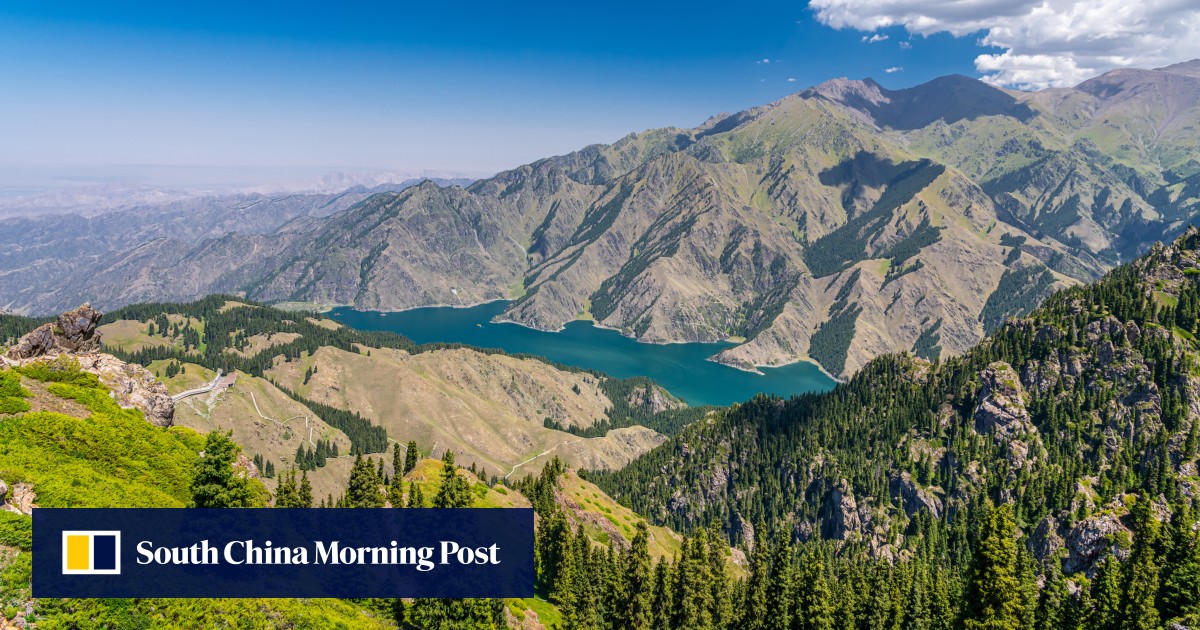 How a Xinjiang weed could reduce China’s reliance on Southeast Asian rubber