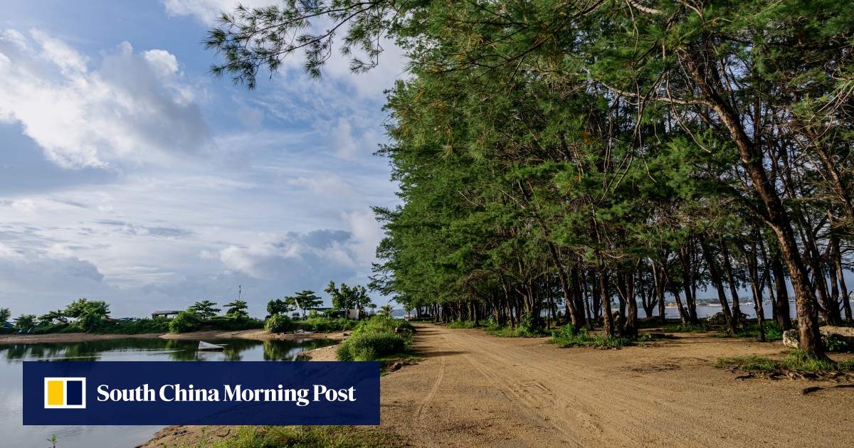 https://cdn.i-scmp.com/sites/default/files/styles/og_image_scmp_generic/public/d8/images/canvas/2026/08/03/ef03c0a0-0db5-4cea-9570-1ed677148a81_97229d71.jpg?itok=bbmw7LlZ&v=1785730510