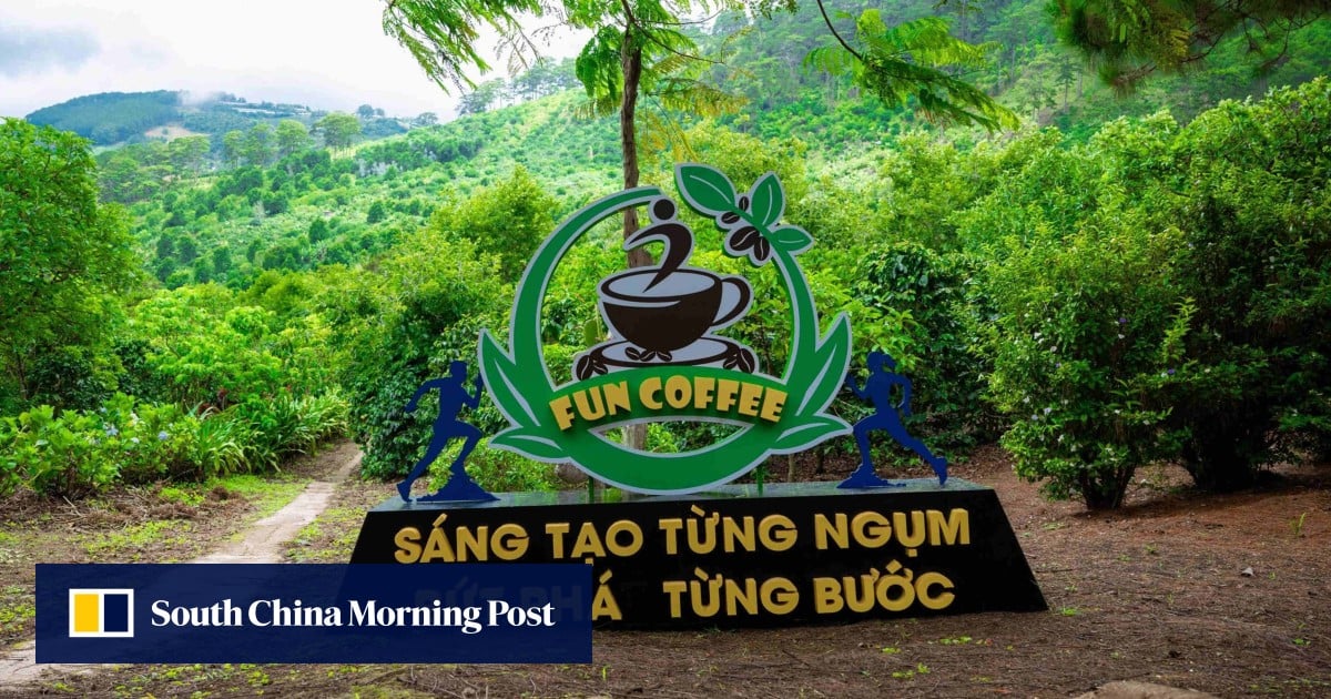 Hong Kong, Macau police arrest 8 over HK$100m Vietnam coffee investment scam