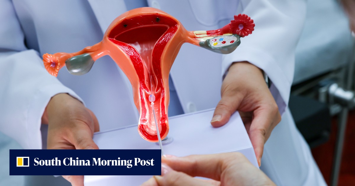 More checks for embryo biopsies, overhaul reproductive tech law, DAB urges