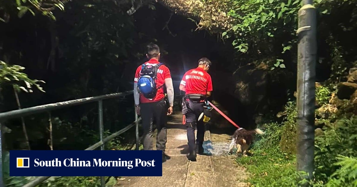 Missing man, 58, found dead in Ma On Shan after days-long search effort