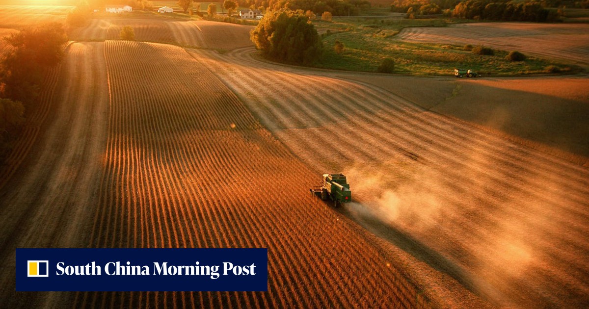 China buys at least 10 more cargoes of US soybeans, traders say