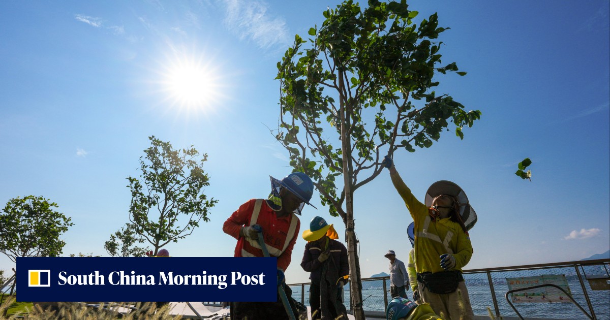 Calls for system review after lowest alert in force during record-breaking heat