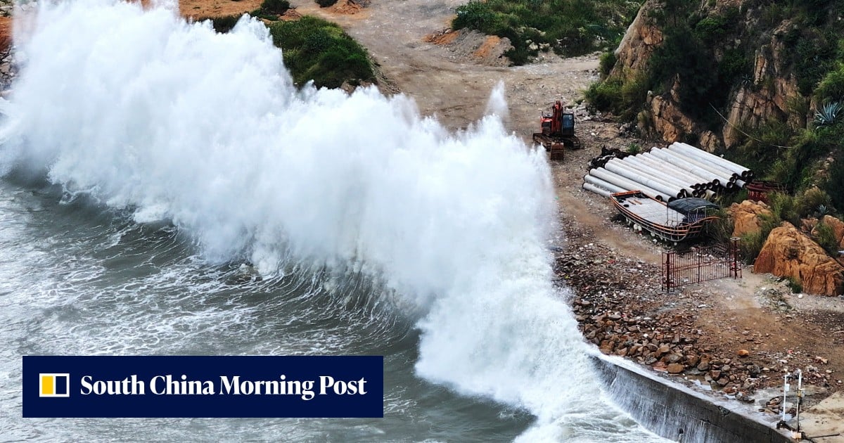 Red alert: Shanghai cancels 60% of flights as Typhoon Dolphin closes in