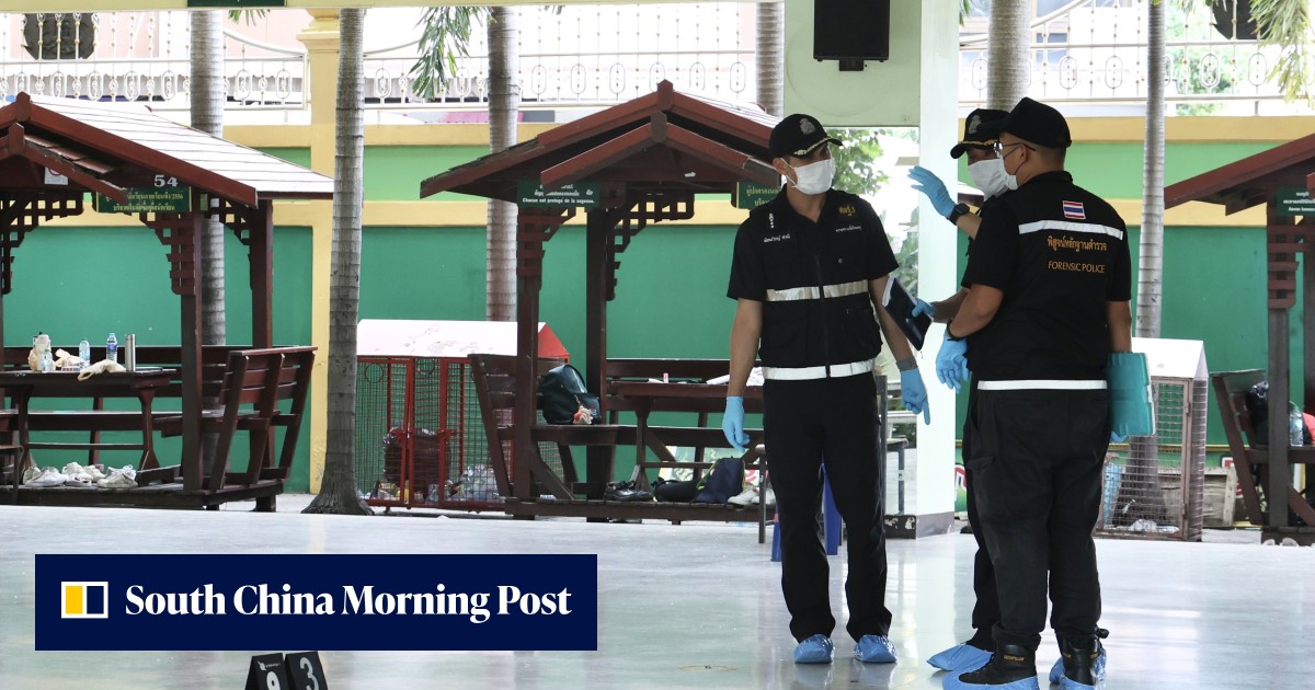 Thai school shooter had watched violent content online: police