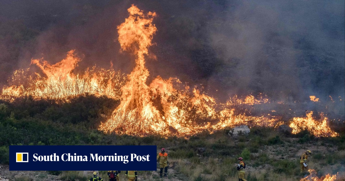 Over 200 firefighters battle blaze in southern France