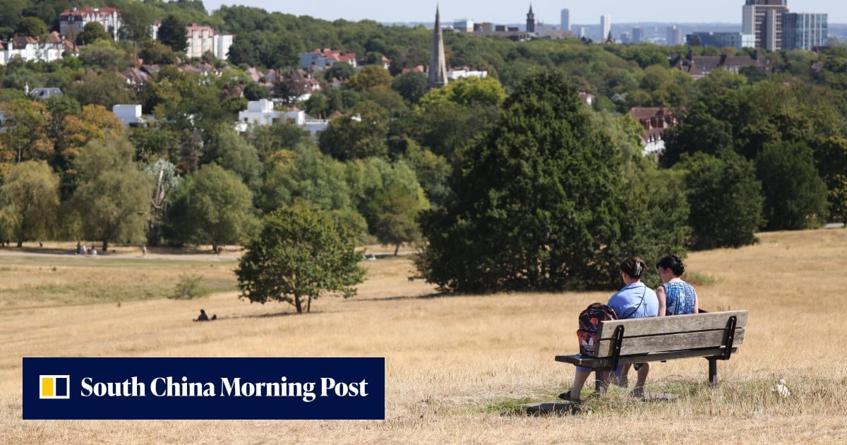 Drought declared in ‘almost three-quarters’ of England, government says