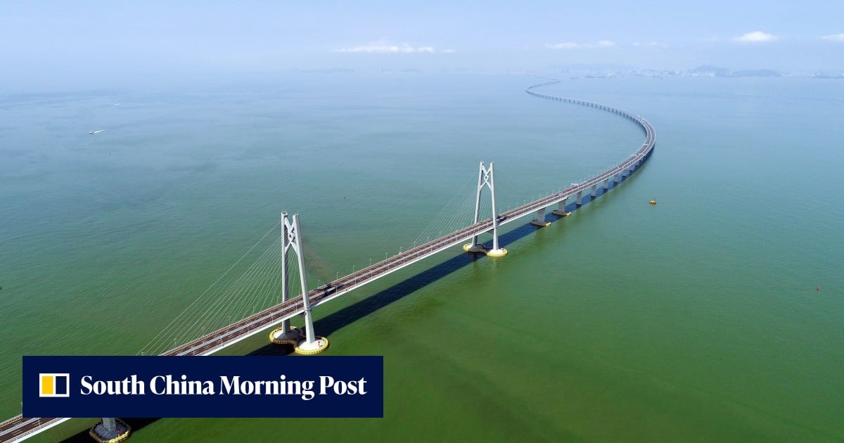 Search under way for missing cruise passenger off Hong Kong mega bridge