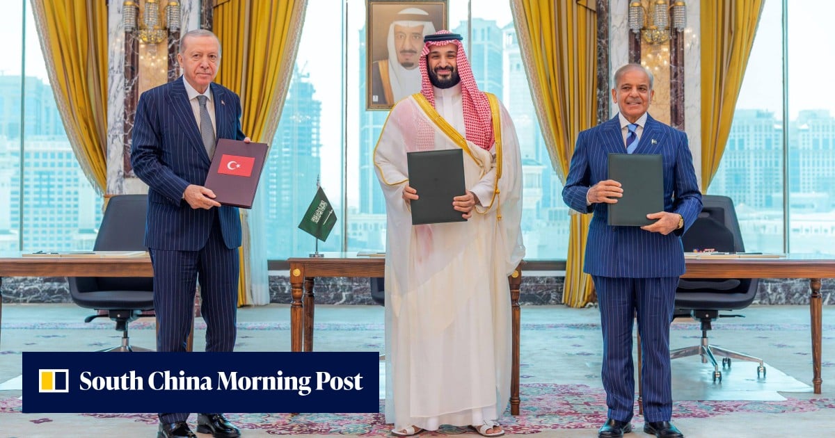 Erdogan wants Turkey-Saudi Arabia-Pakistan defence pact to draw more countries