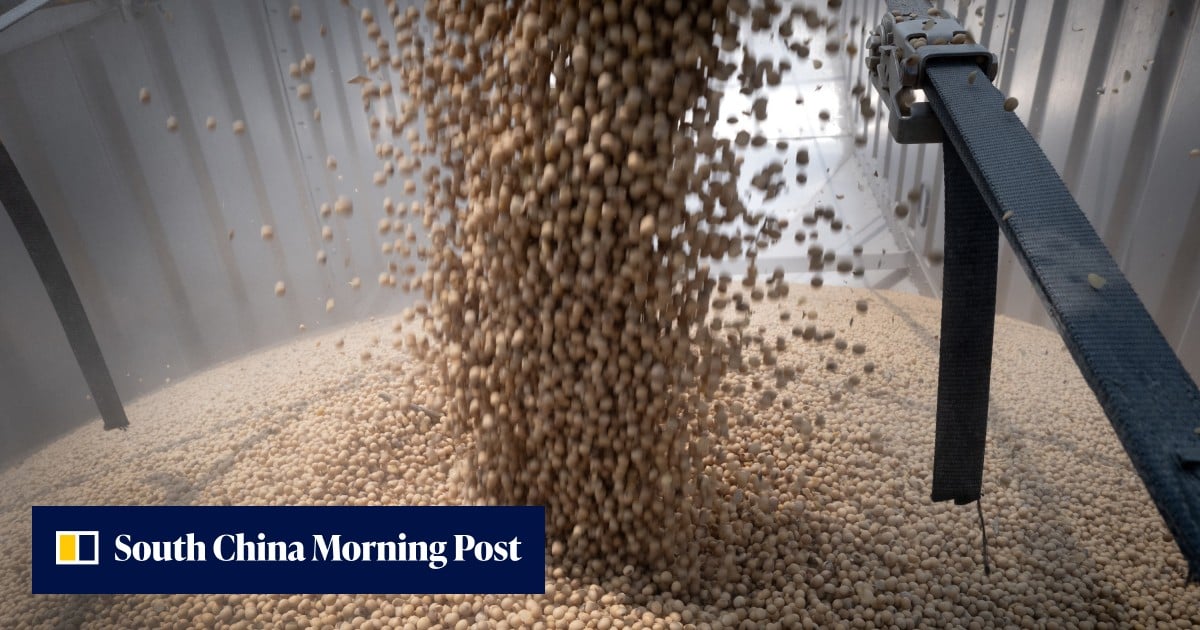 Fearing deflated China demand, US soybean growers pivot to new buyers and biofuel Fearing deflated China demand, US soybean growers pivot to new buyers and biofuel