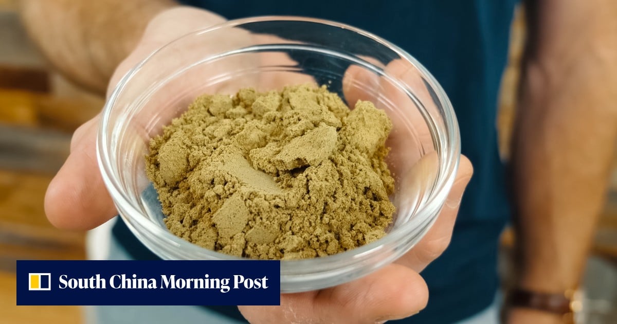 中國酵母廠將抗癌藥物產量提升千倍