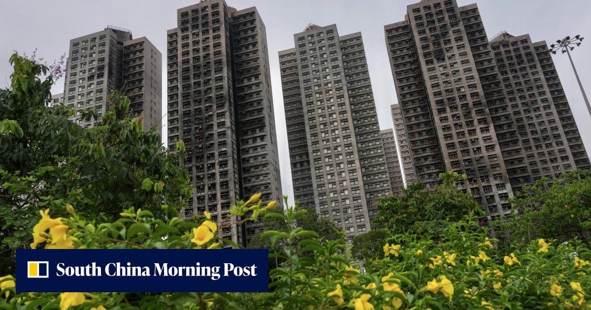 Supplier says subcontractor ordered non-fire-retardant nets before Tai Po blaze