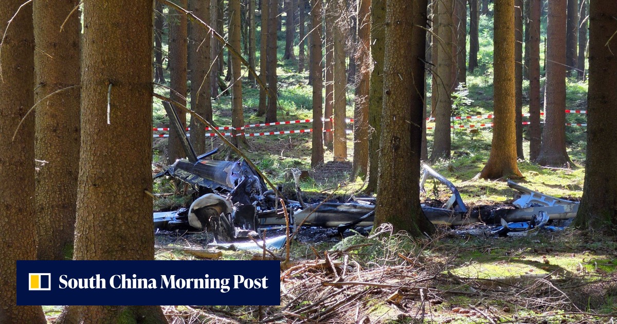 Pilot dies after helicopter crash in German forest