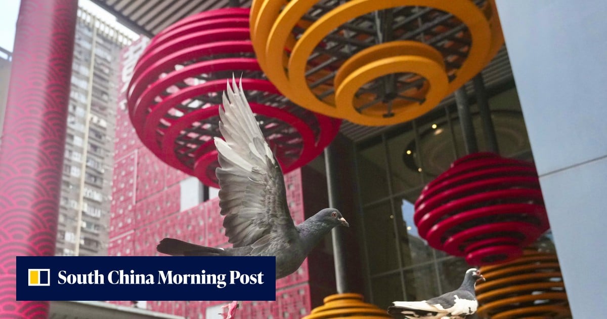 https://cdn.i-scmp.com/sites/default/files/styles/og_image_scmp_generic/public/d8/images/canvas/2026/08/14/5115d8ba-b685-4e6f-a4c7-b89f128db52c_2b36161f.jpg?itok=QPi8pT48&v=1786687901
