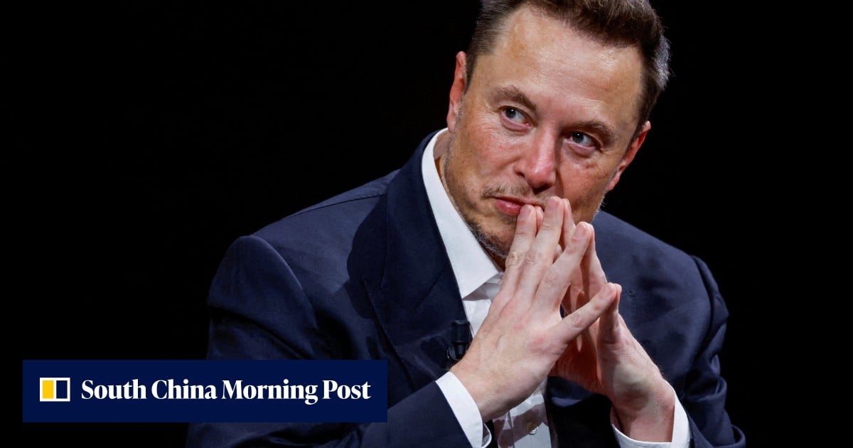Musk’s headaches: meet China’s corporate matrix challenging his business empire