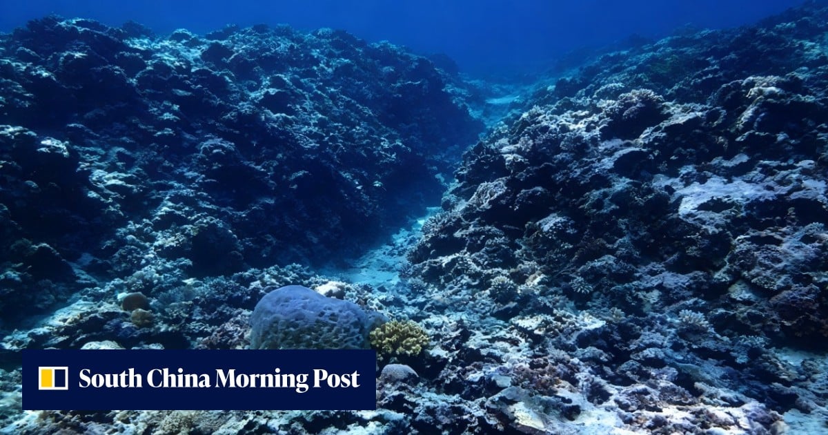 Beijing issues ecological report to solidify South China Sea claims amid US row