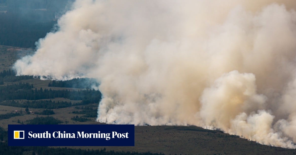Belgium battles worst wildfire on record, EU allies come to aid