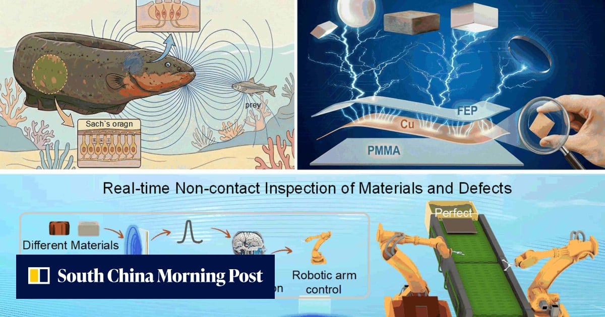 China’s ‘electric eel’ sensor allows robots to feel an object without touching it