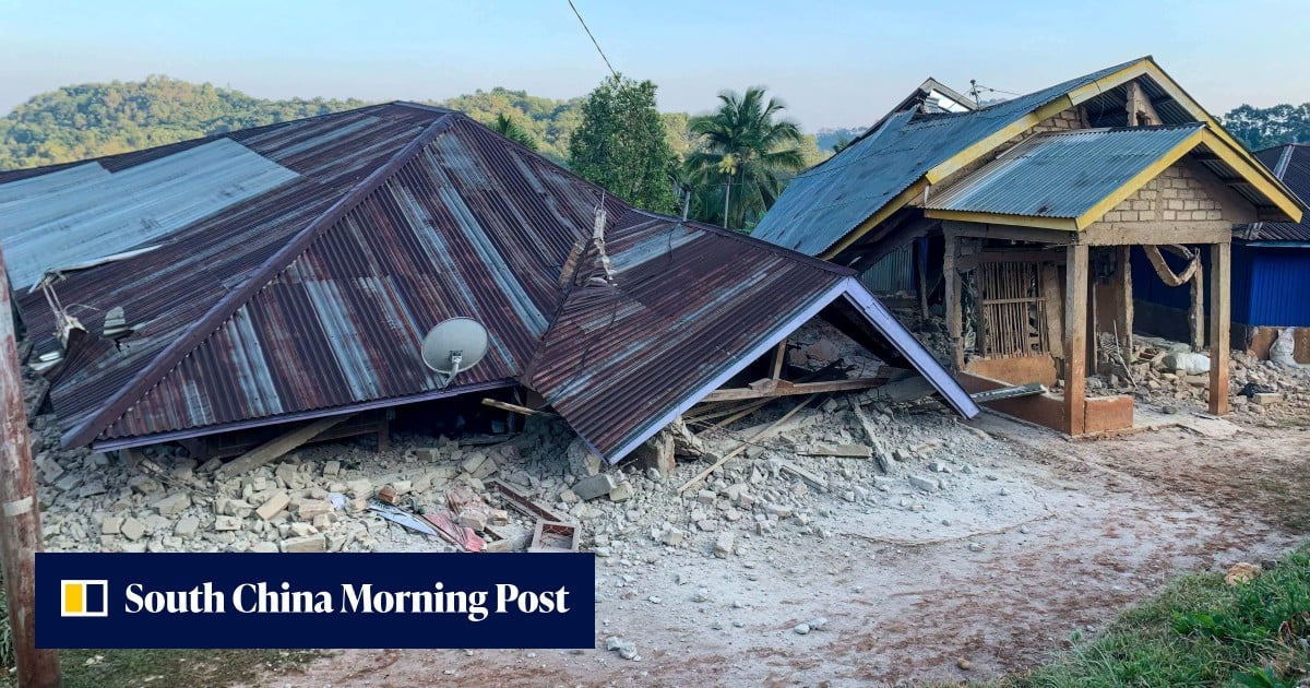 ‘House collapsed on me’: Indonesian quake survivors recount chaotic escape