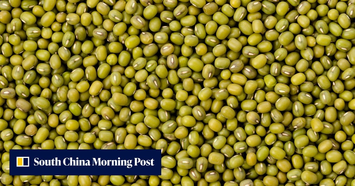 China’s ‘no’ on Australian beans: what the import rejection says about trade ties