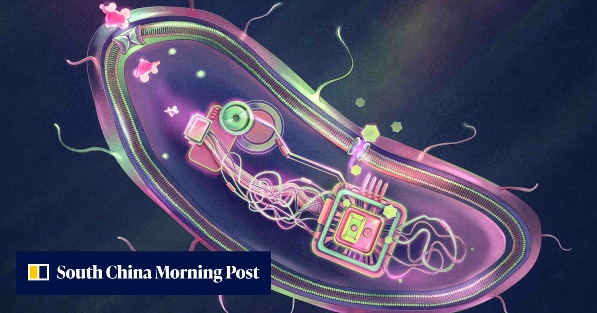 Chinese team aims to put ‘smart’ diabetes probiotic on US shelves within 2 years