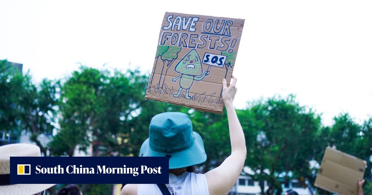 https://cdn.i-scmp.com/sites/default/files/styles/og_image_scmp_generic/public/d8/images/canvas/2026/08/17/db6d8c35-58b3-4a38-9952-e6c955afb6fb_406a6254.jpg?itok=kSiPzE0N&v=1786954981