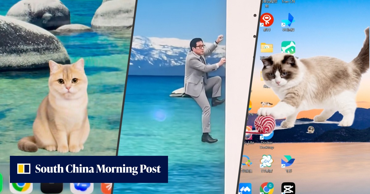 Chinese workers turn bosses into virtual pets for stress relief amid rising quirky trend