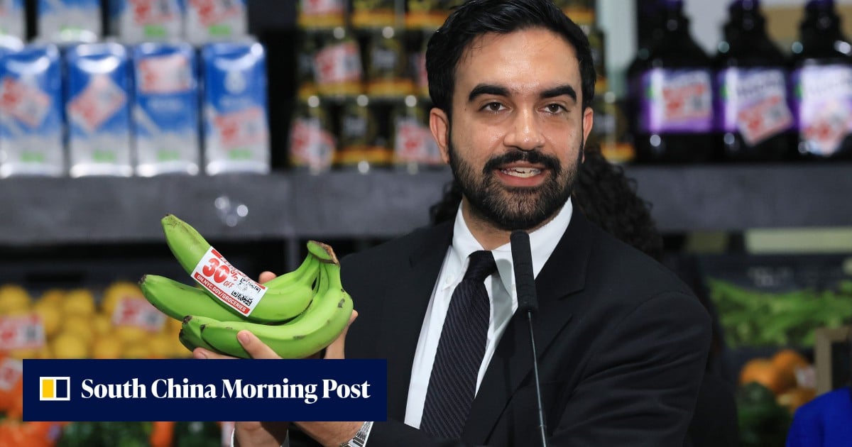 Malaysians ask Zohran Mamdani to fix potholes in viral meme appeal