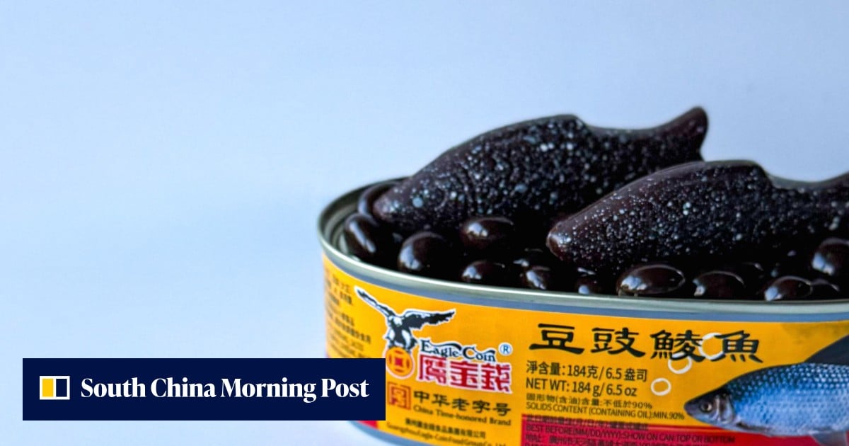 https://cdn.i-scmp.com/sites/default/files/styles/og_image_scmp_generic/public/d8/images/canvas/2026/08/20/8e0bc9a1-d52f-45b2-bcf1-e0fda1b867d5_25fee1c7.jpg?itok=STqM0r6-&v=1787201426