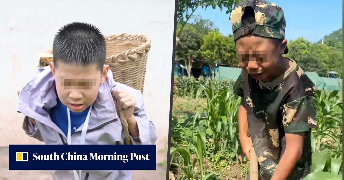 Chinese ‘hardship camps’ see children chop wood, feed pigs to learn family appreciation