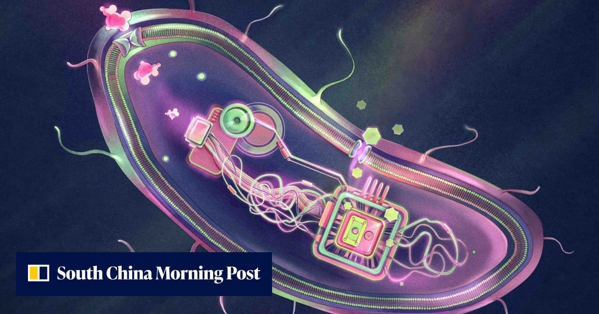 China’s ‘smart’ diabetes probiotics; life sentence for Hui Ka-yan: SCMP’s 7 highlights