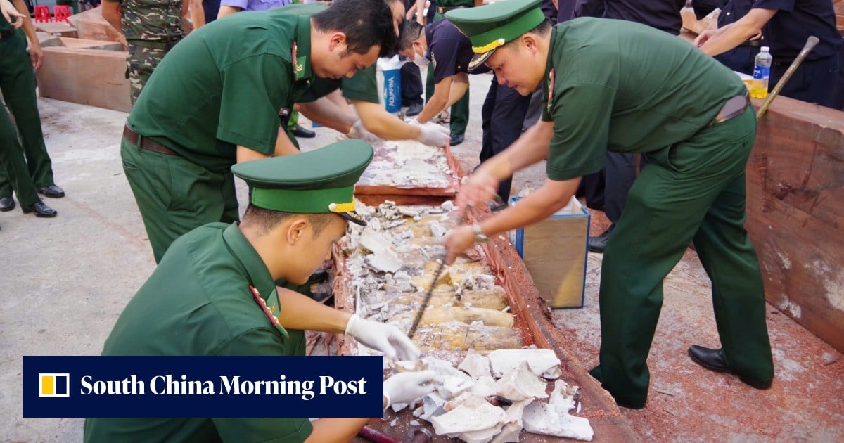 China banned ivory, but Vietnamese gangs keep the trade alive