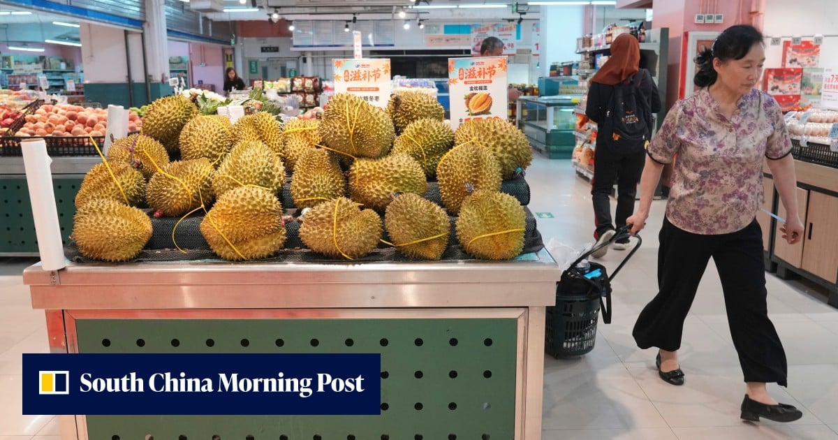 Durian Reference Prices at Guangzhou Jiangnan Market - News Directory 3