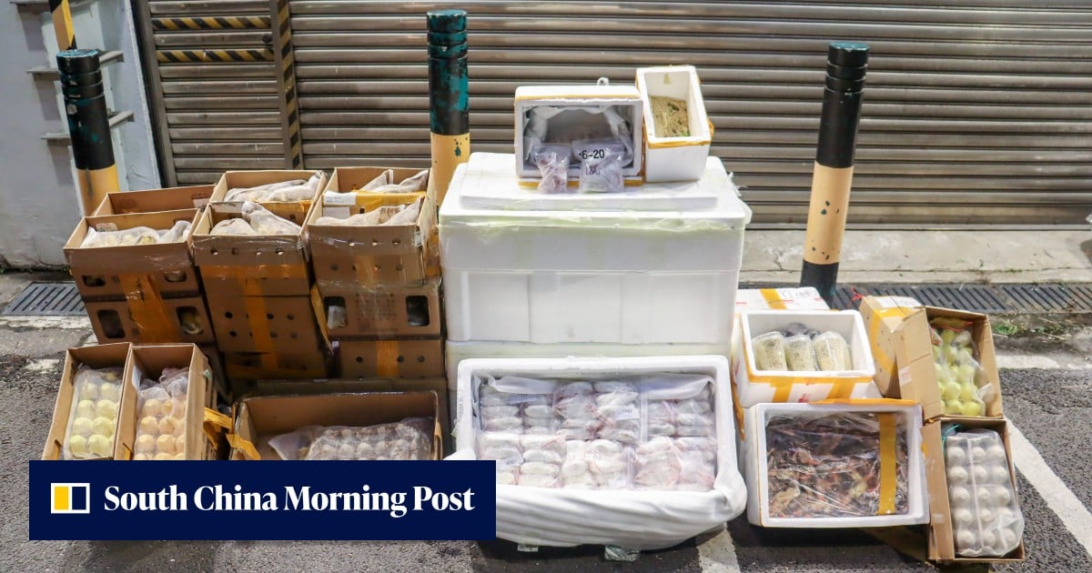 Cockroaches, frozen rats among 118kg of pests, pet food seized in Hong Kong