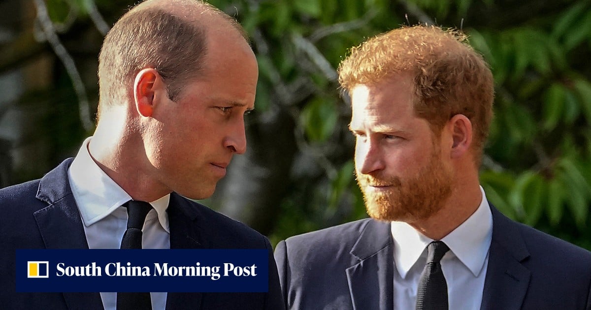 As Harry plans UK return, can he patch up royal rift with Prince William?