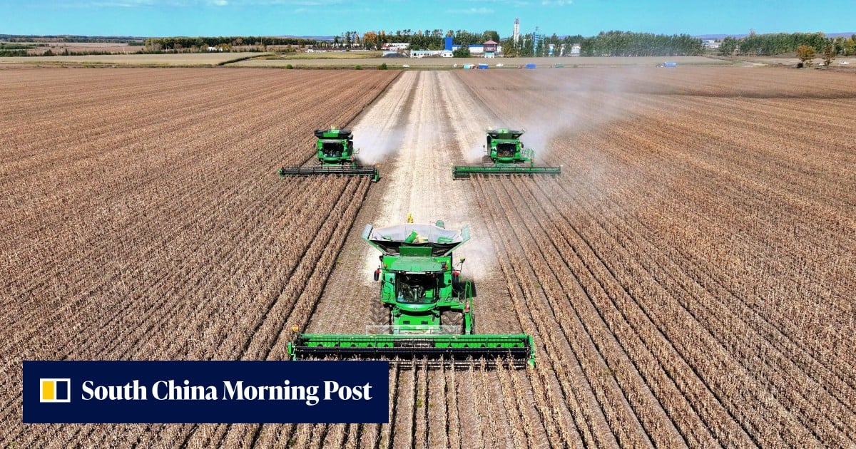 China enlists AI in hunt for better soybeans, but self-sufficiency unlikely any time soon
